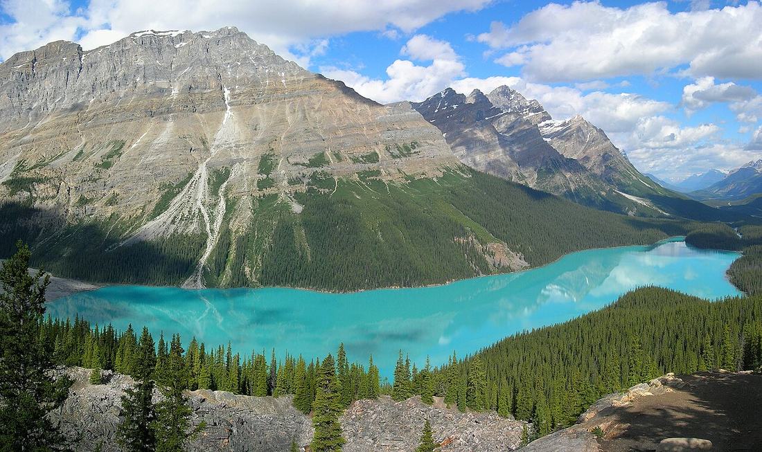 Peyto Lake in Banff National Park